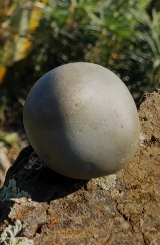 Van kiezelsteen naar kietelsteen: een talisman uit de Maas