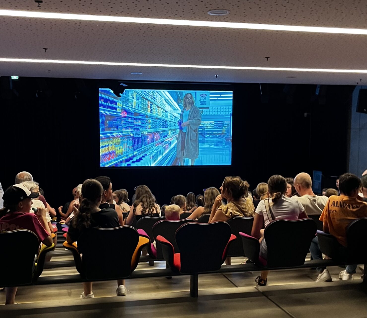 Zomerparkfeest 2025 Zomer Kino