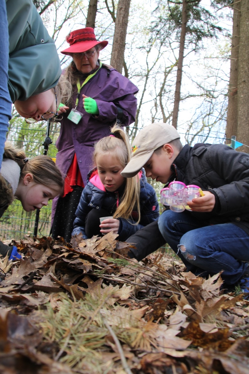 Verhaal: Beek en bos, heuvel en dal: leren van de Limburgse natuur